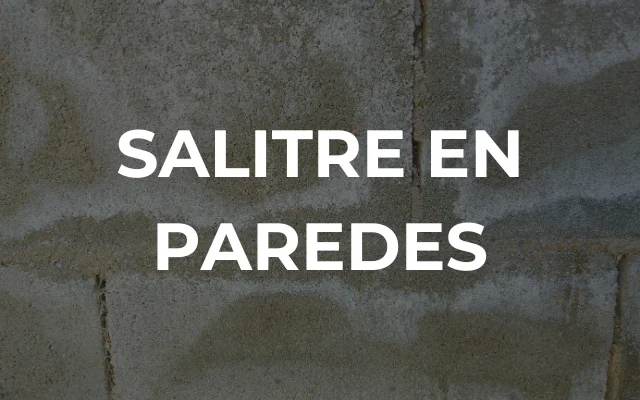 SALITRE EN PAREDES - Imagen destacada