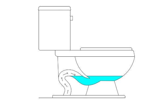 Imagen que muestra el sifón de un inodoro