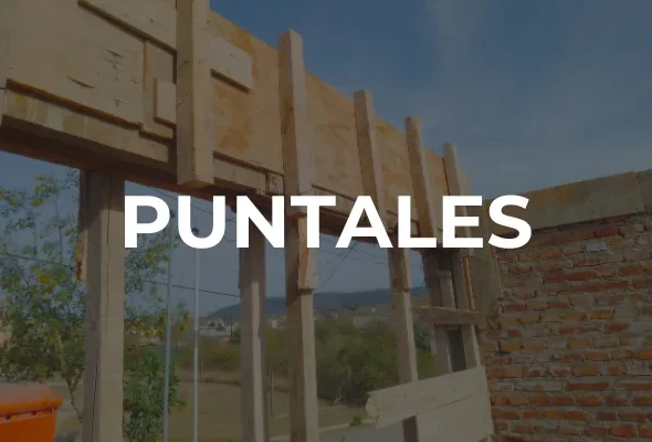 PUNTALES - Imagen destacada